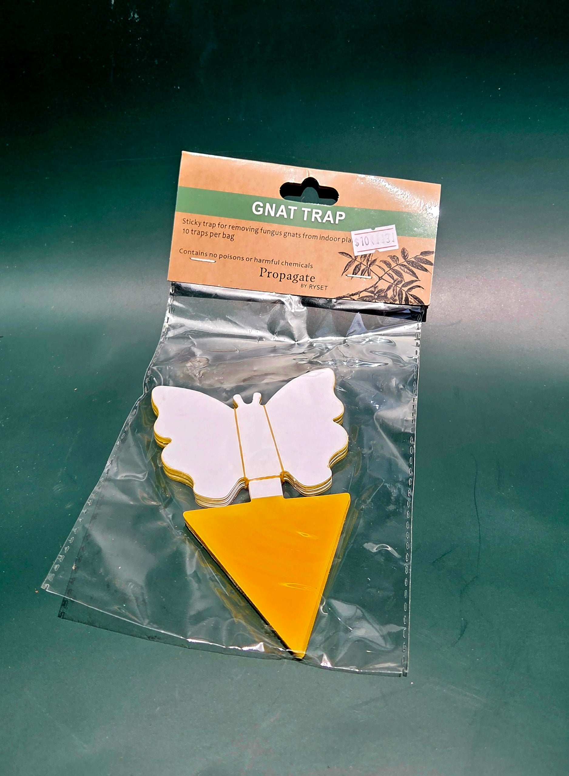 Gnat trap 10 pack