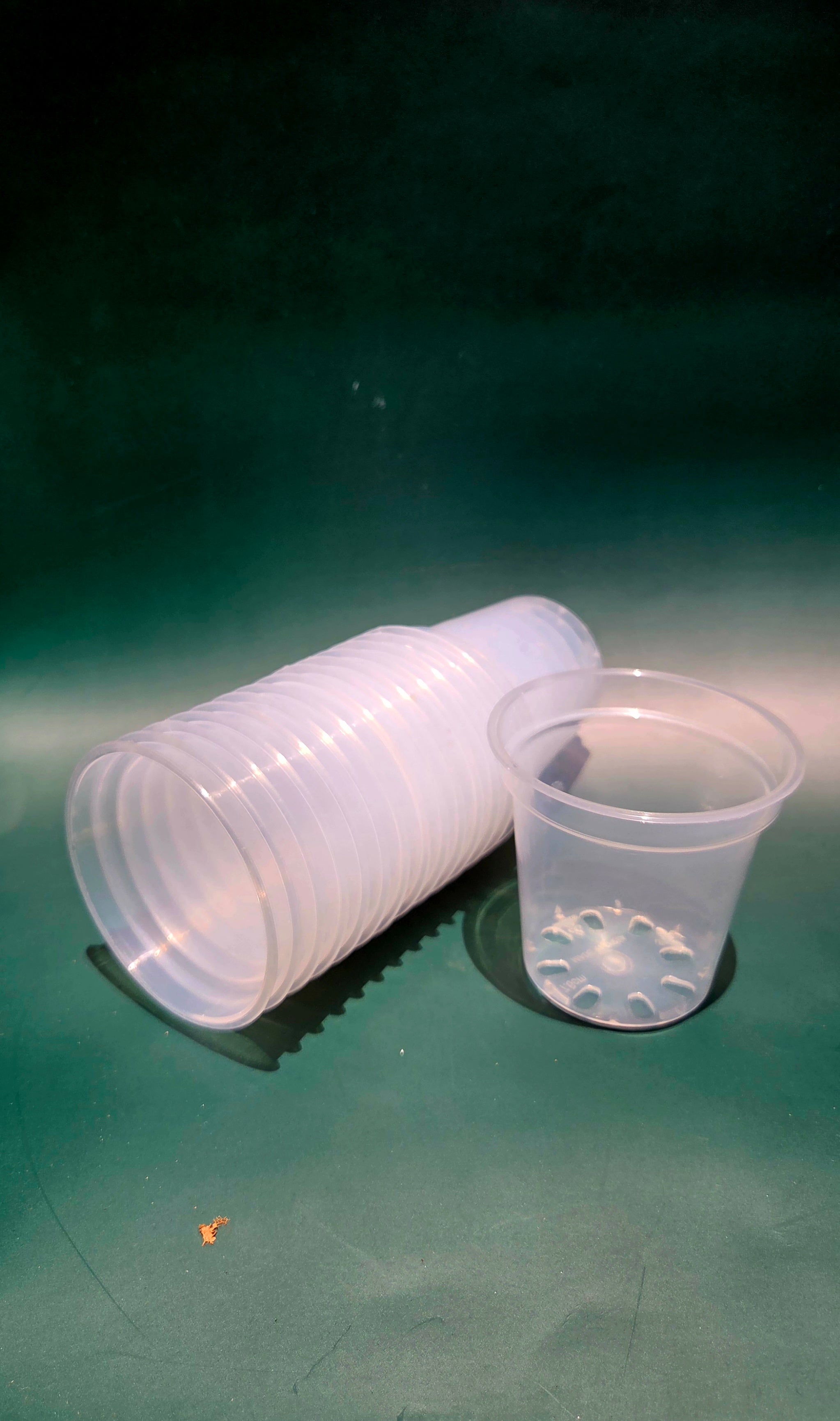10 pack 75mm clear plastic pot