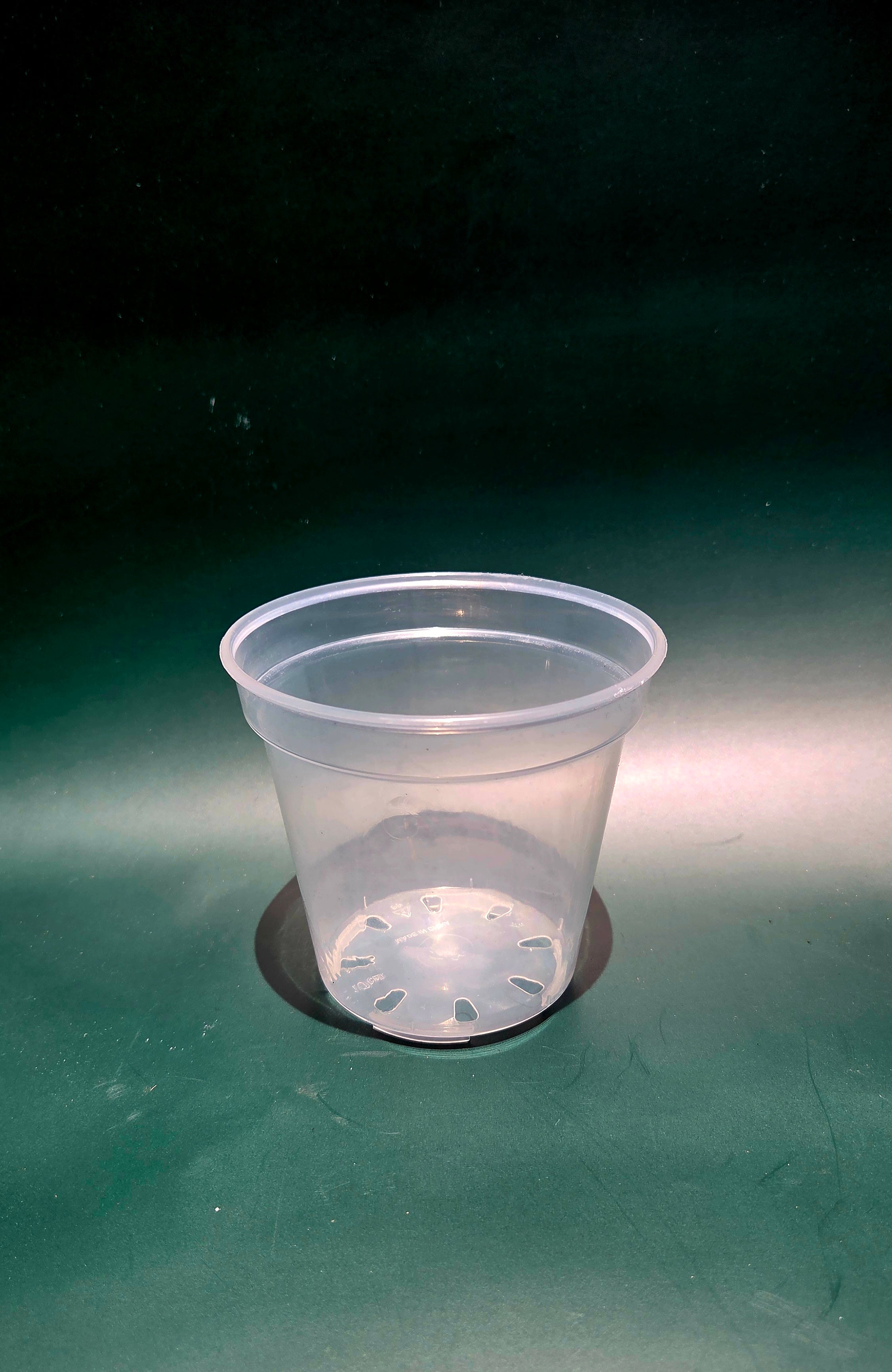100mm clear plastic pot