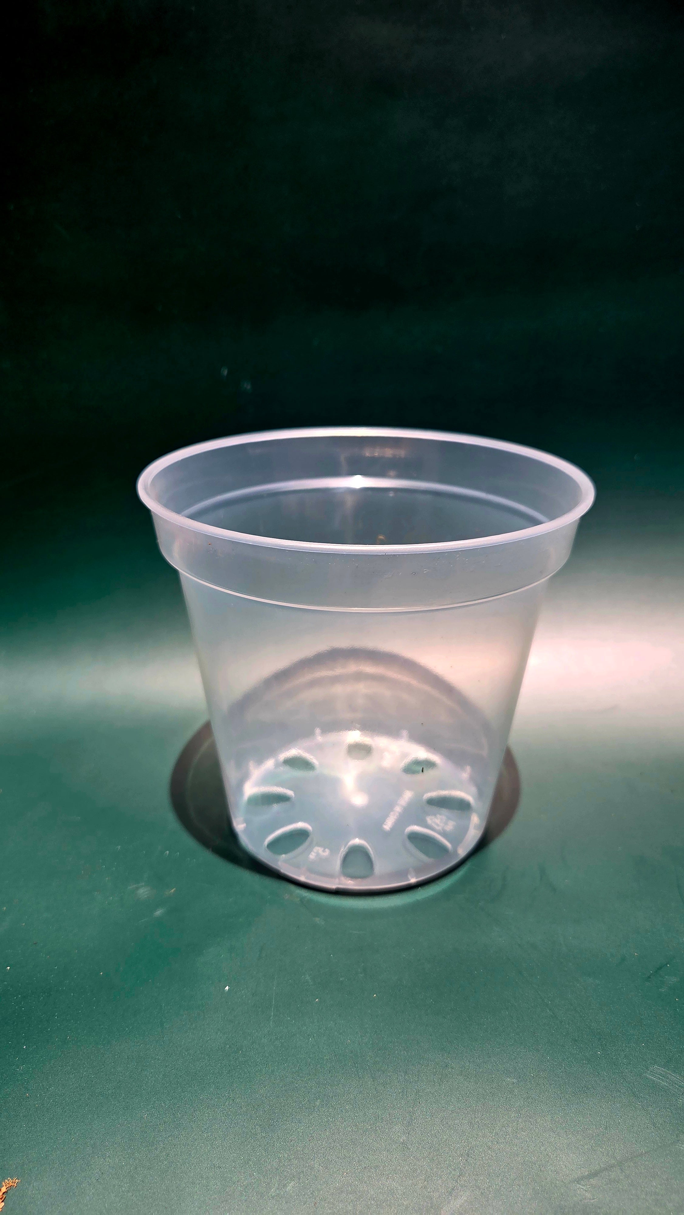 125mm clear plastic pot