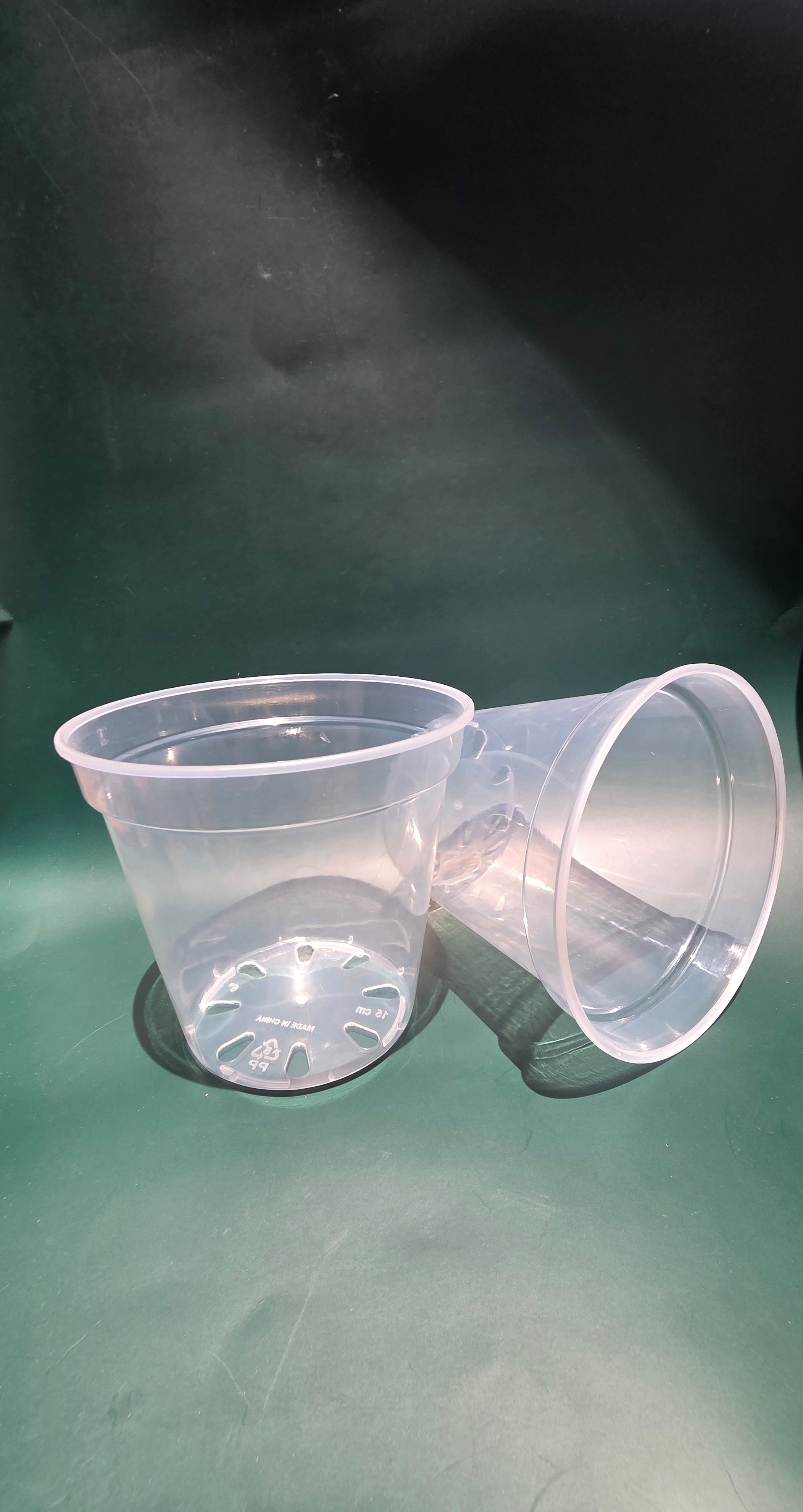 150mm clear plastic pot