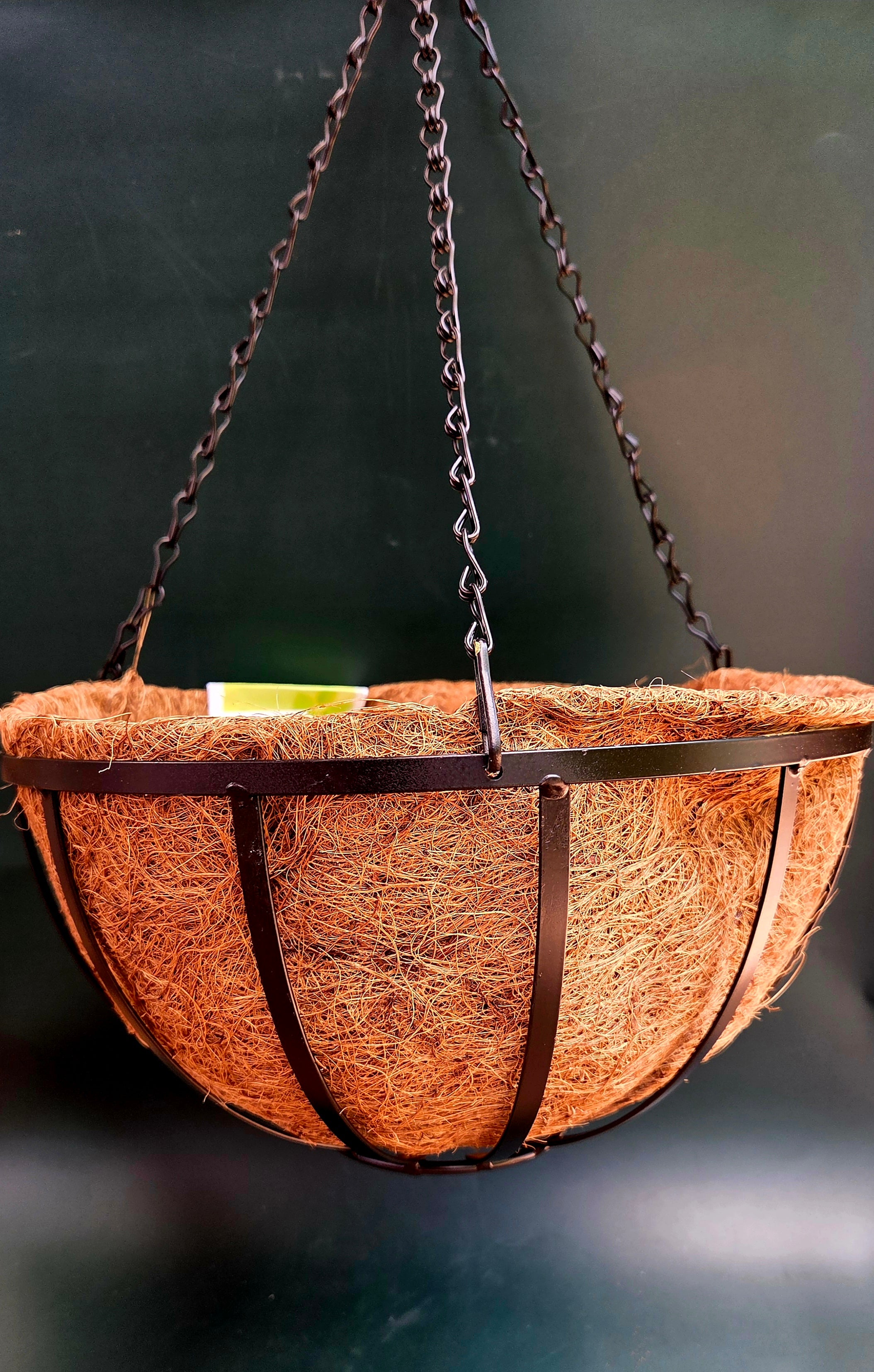 30cm Hanging basket with liner