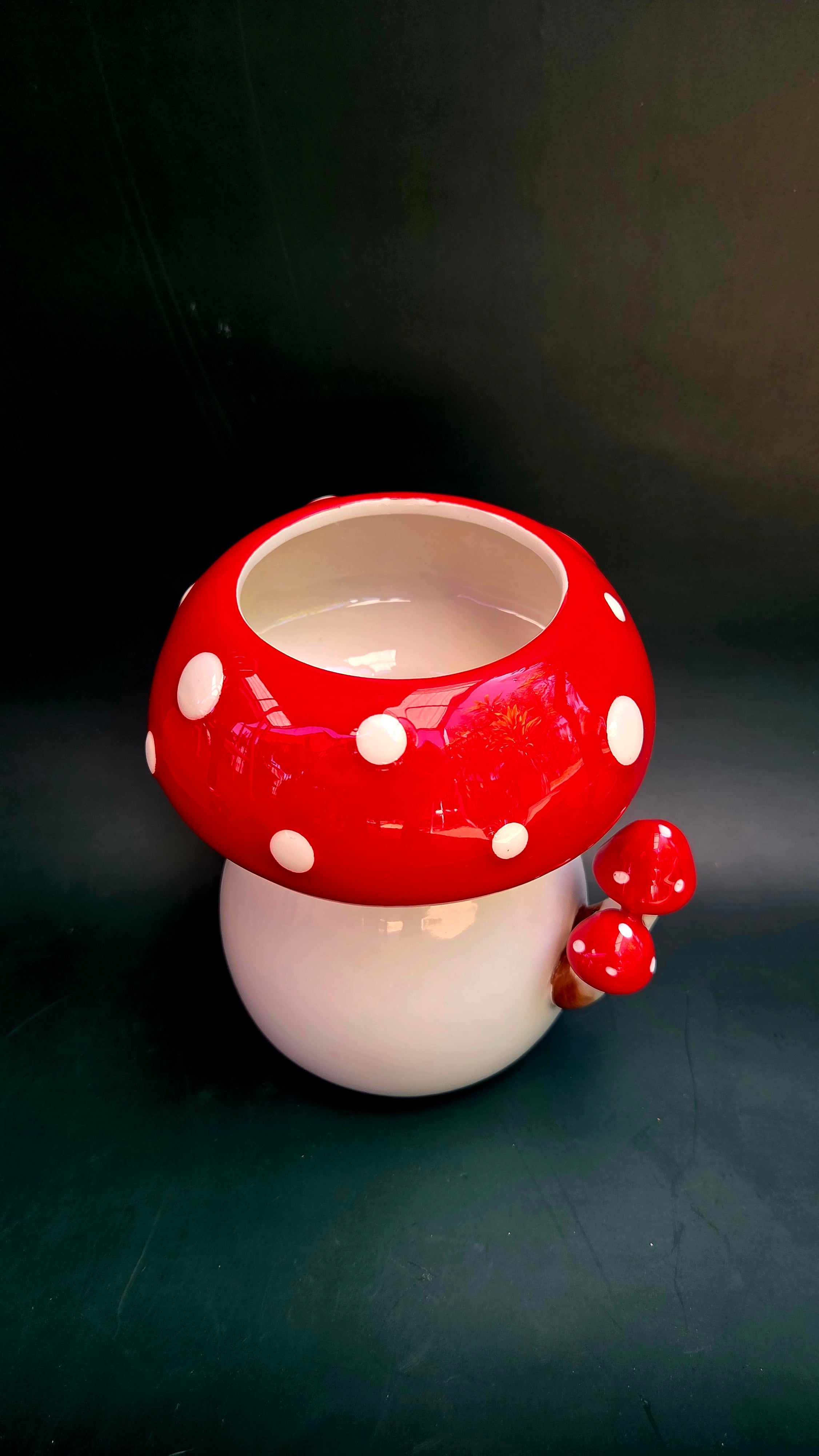 Mushroom planter