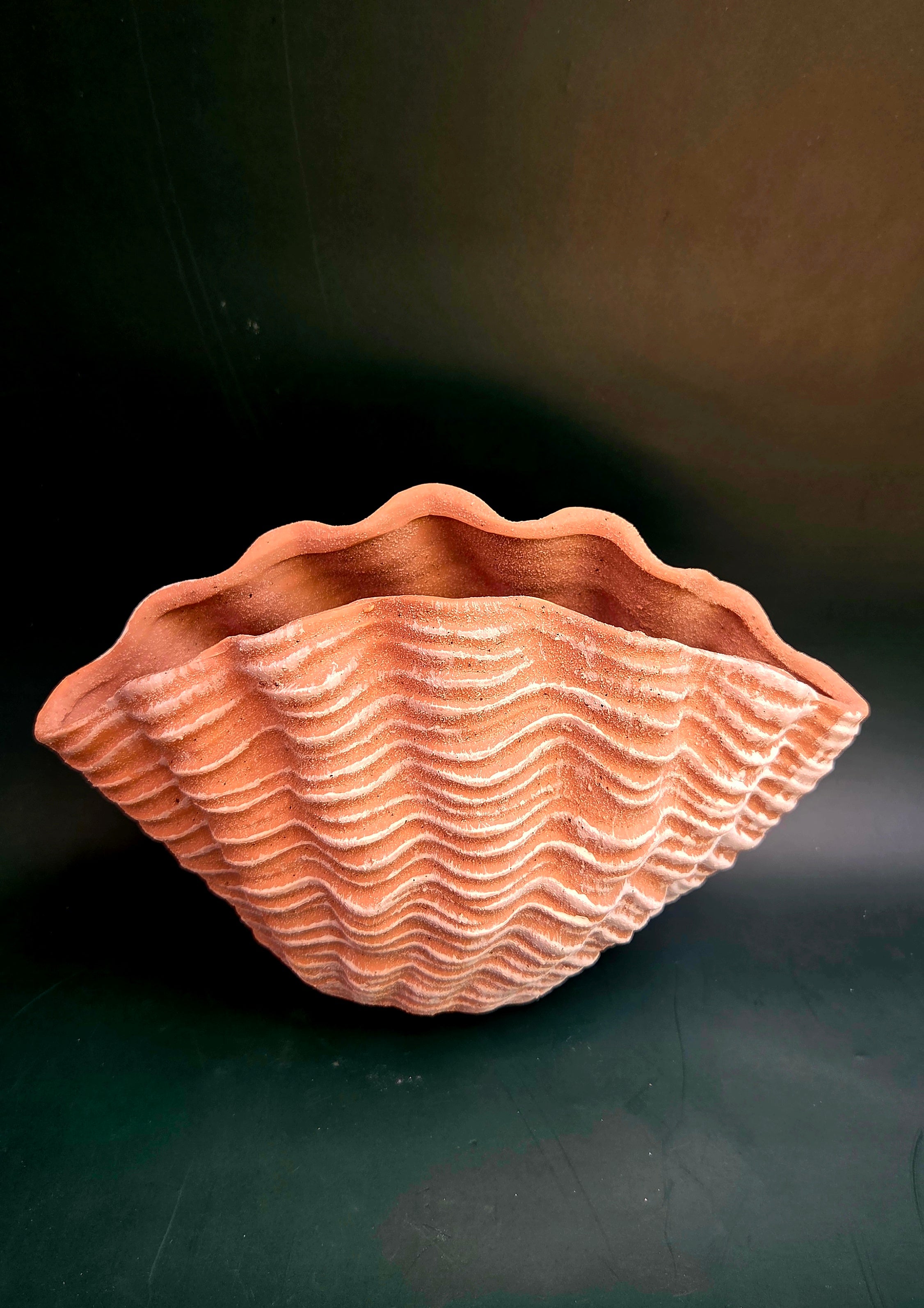 Shell vase terracotta