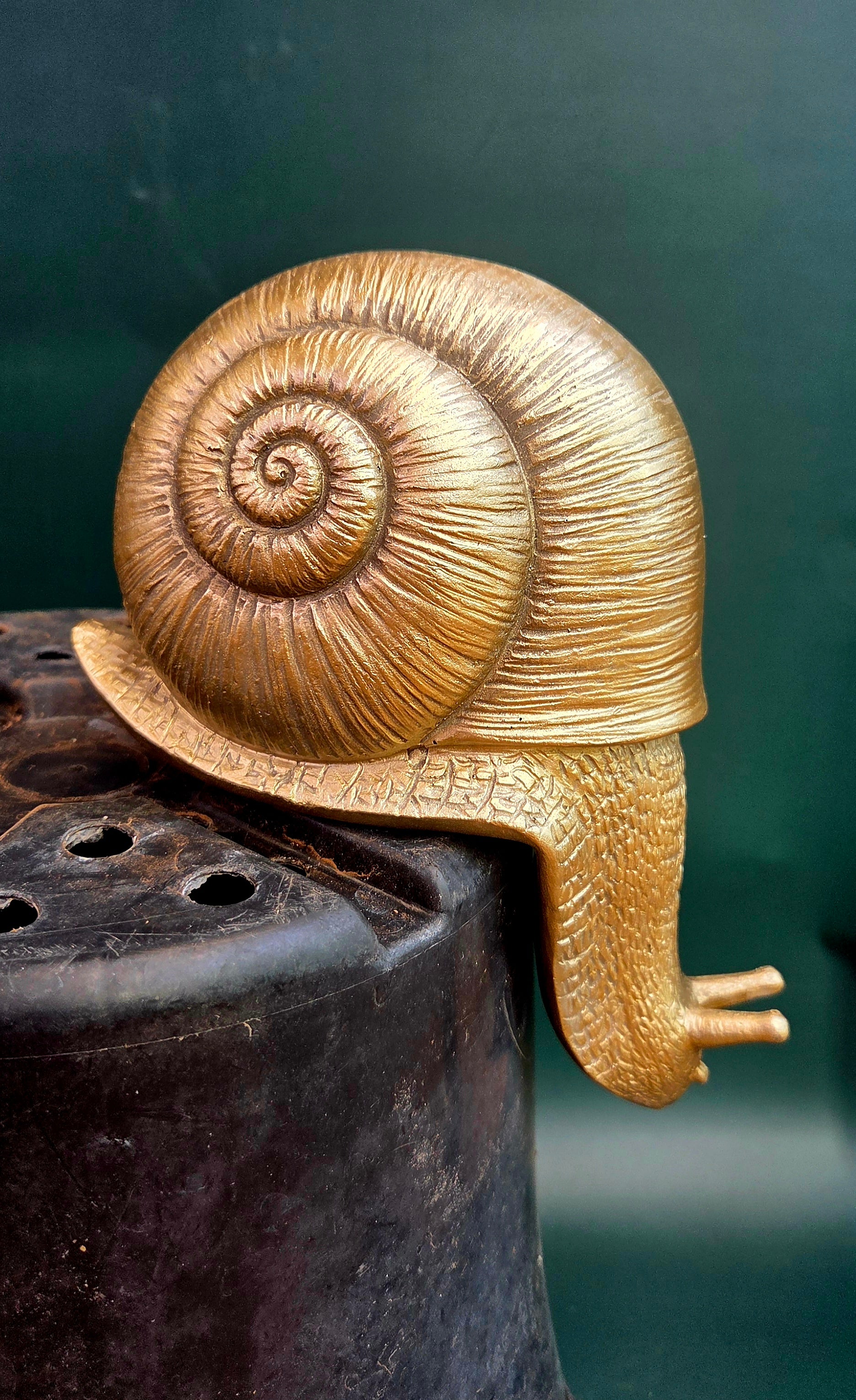 Snail ledge gold