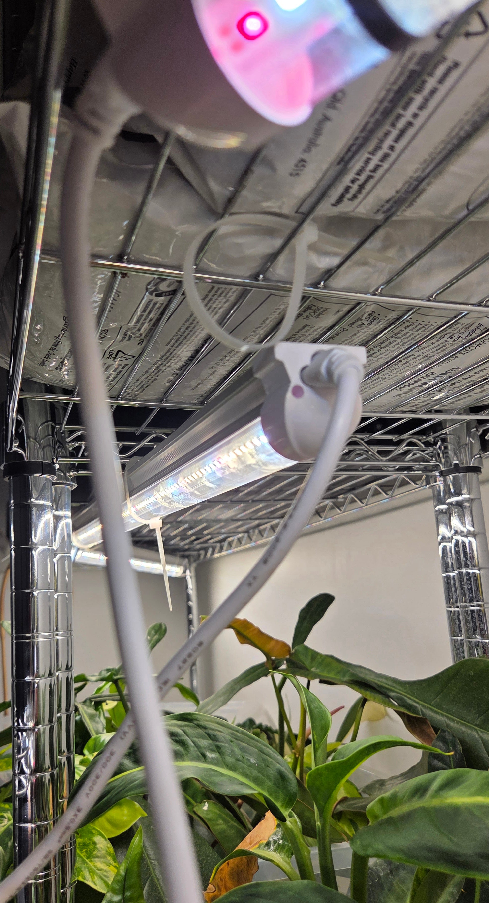 3 pack 18 Watt Full spectrum Grow light