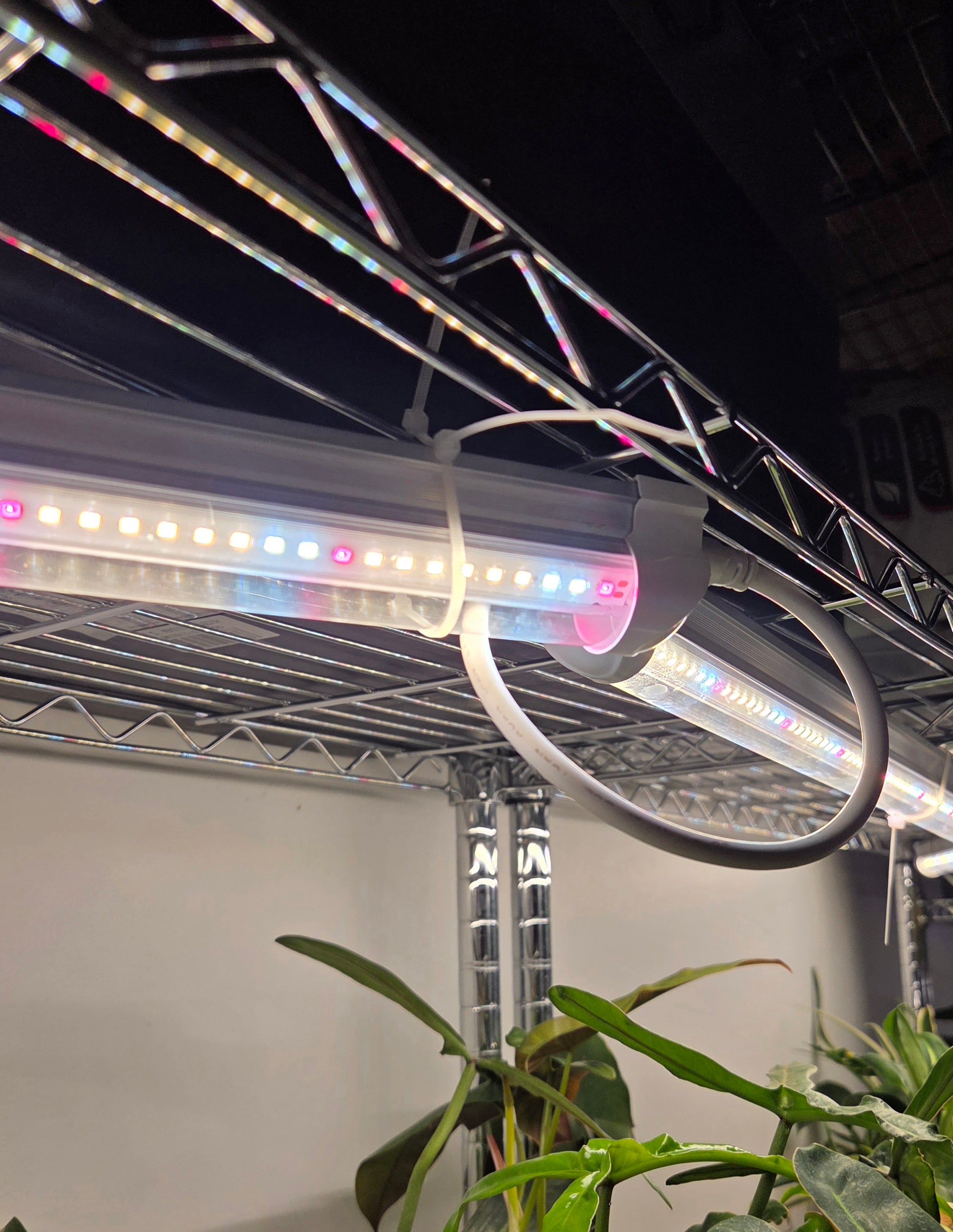 3 pack 18 Watt Full spectrum Grow light