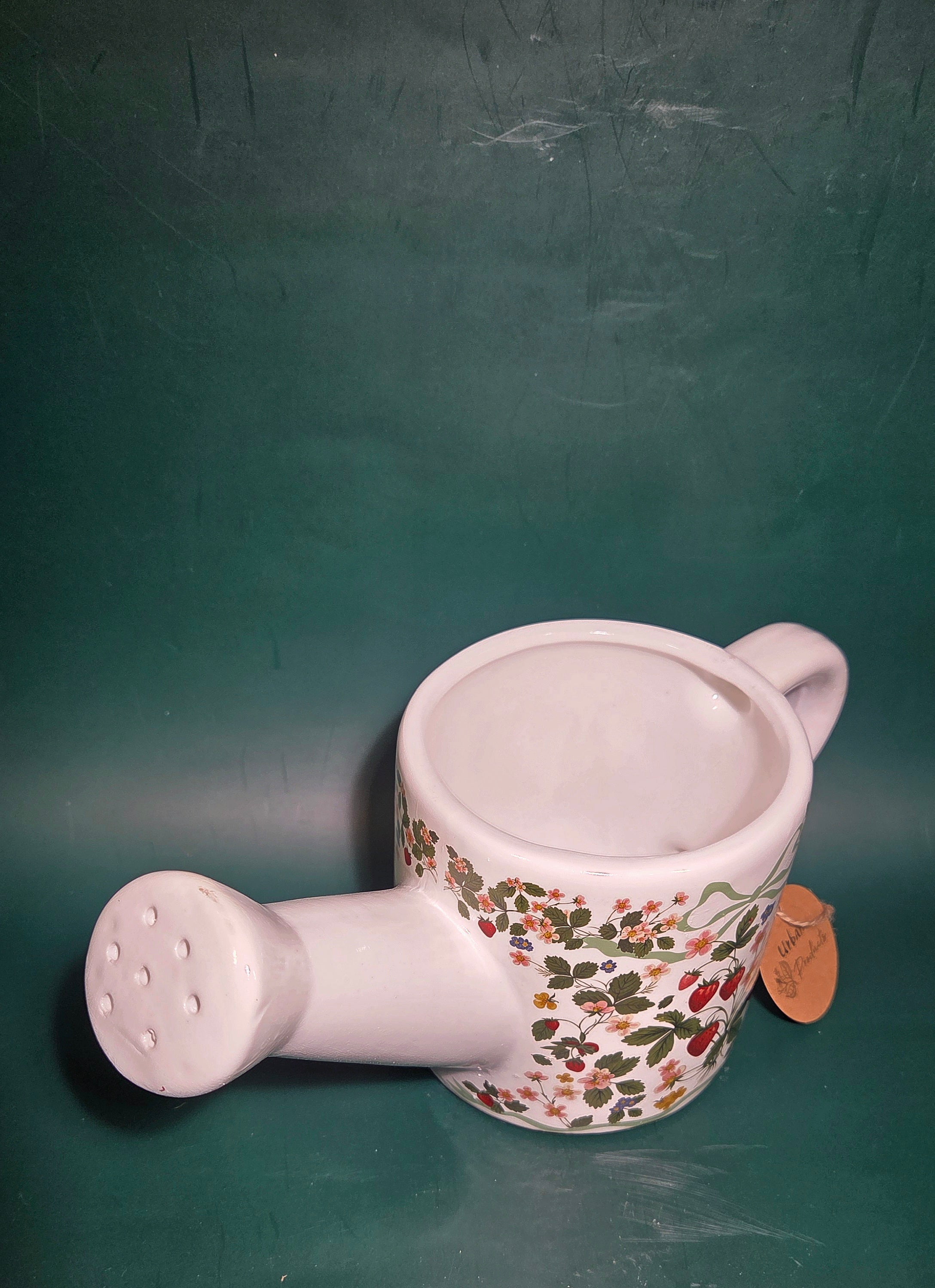 Strawberry fields watering can planter