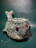 Husk Whale