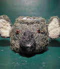 Husk koala