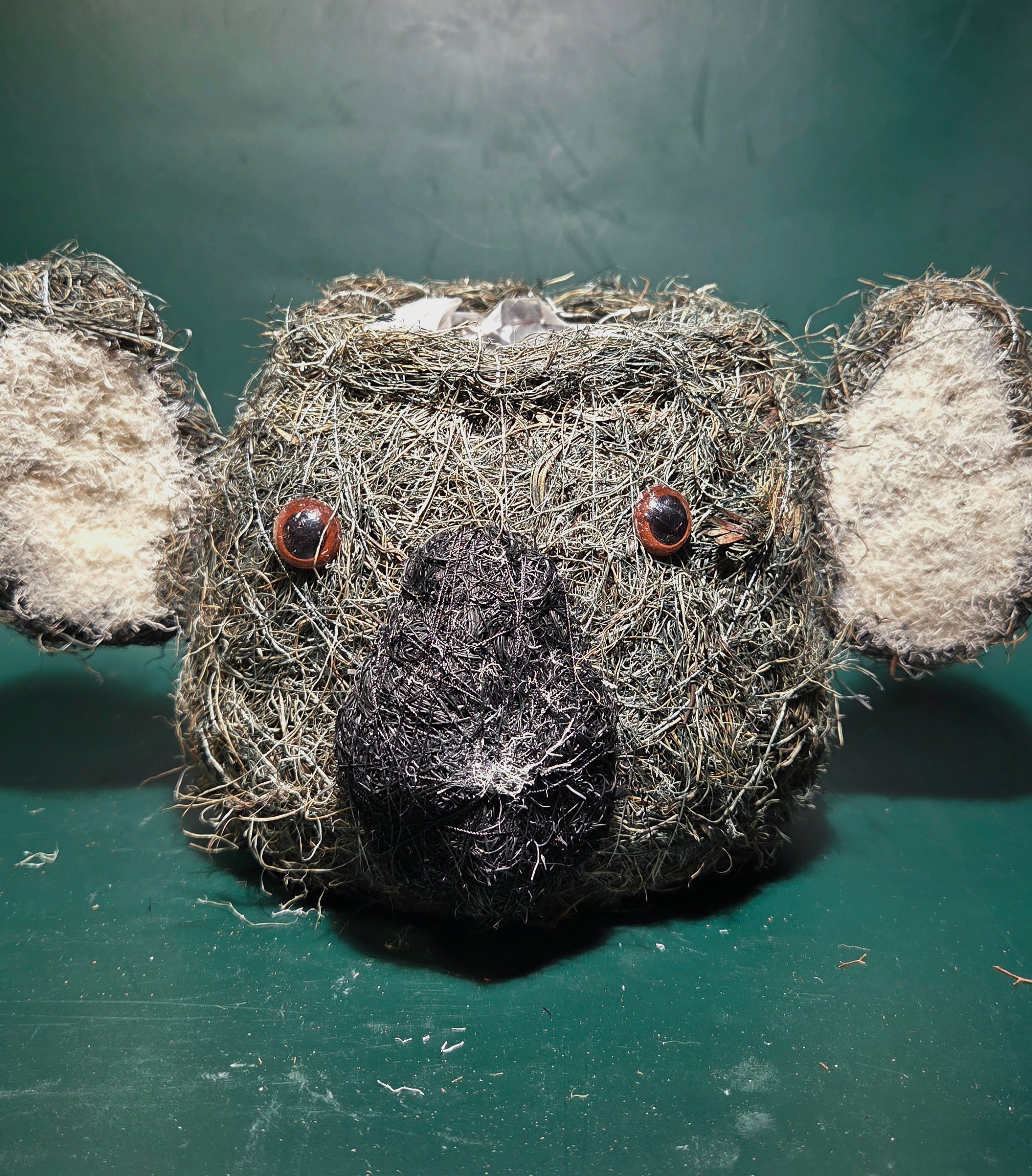 Husk koala
