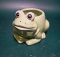 Mr. Froggie
