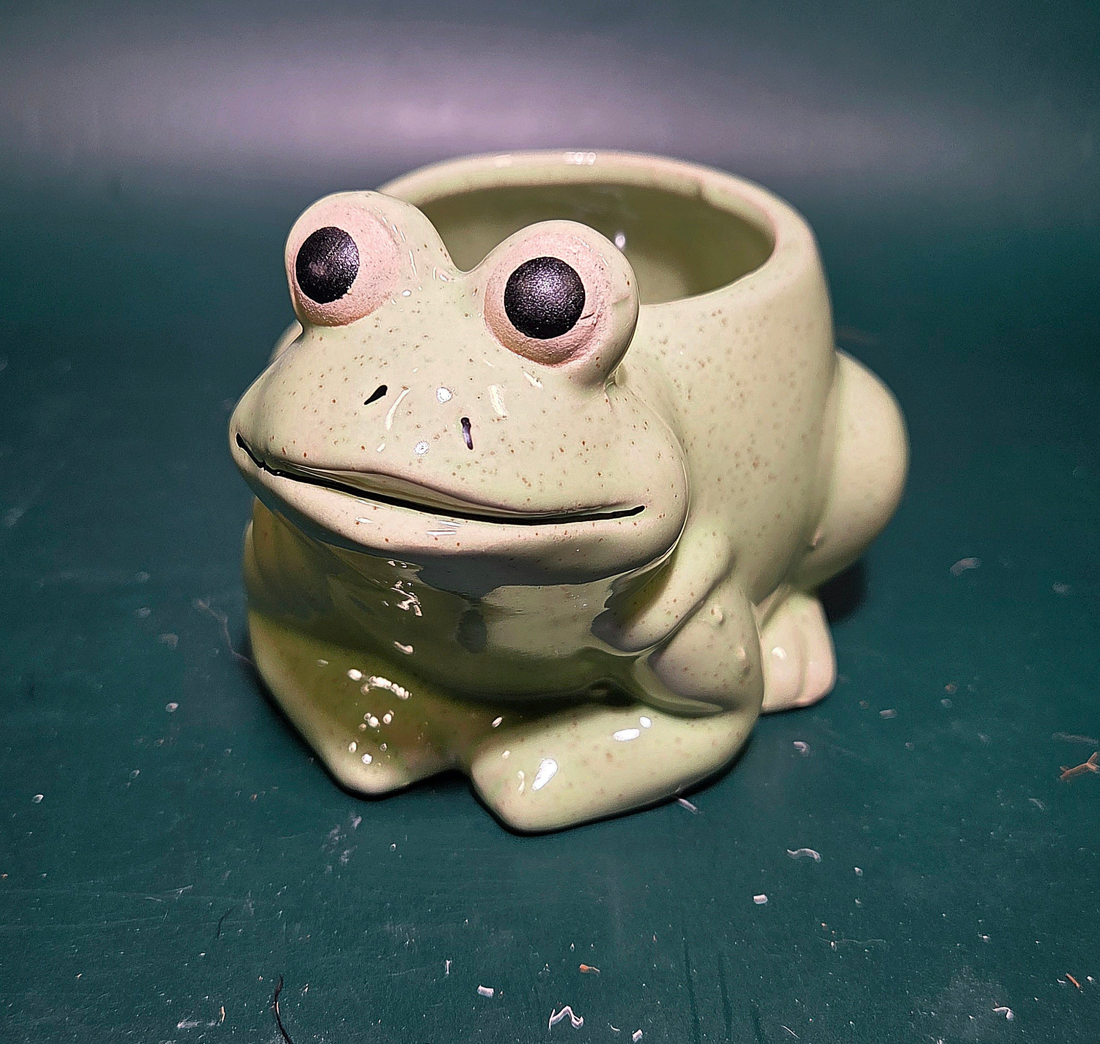 Mr. Froggie