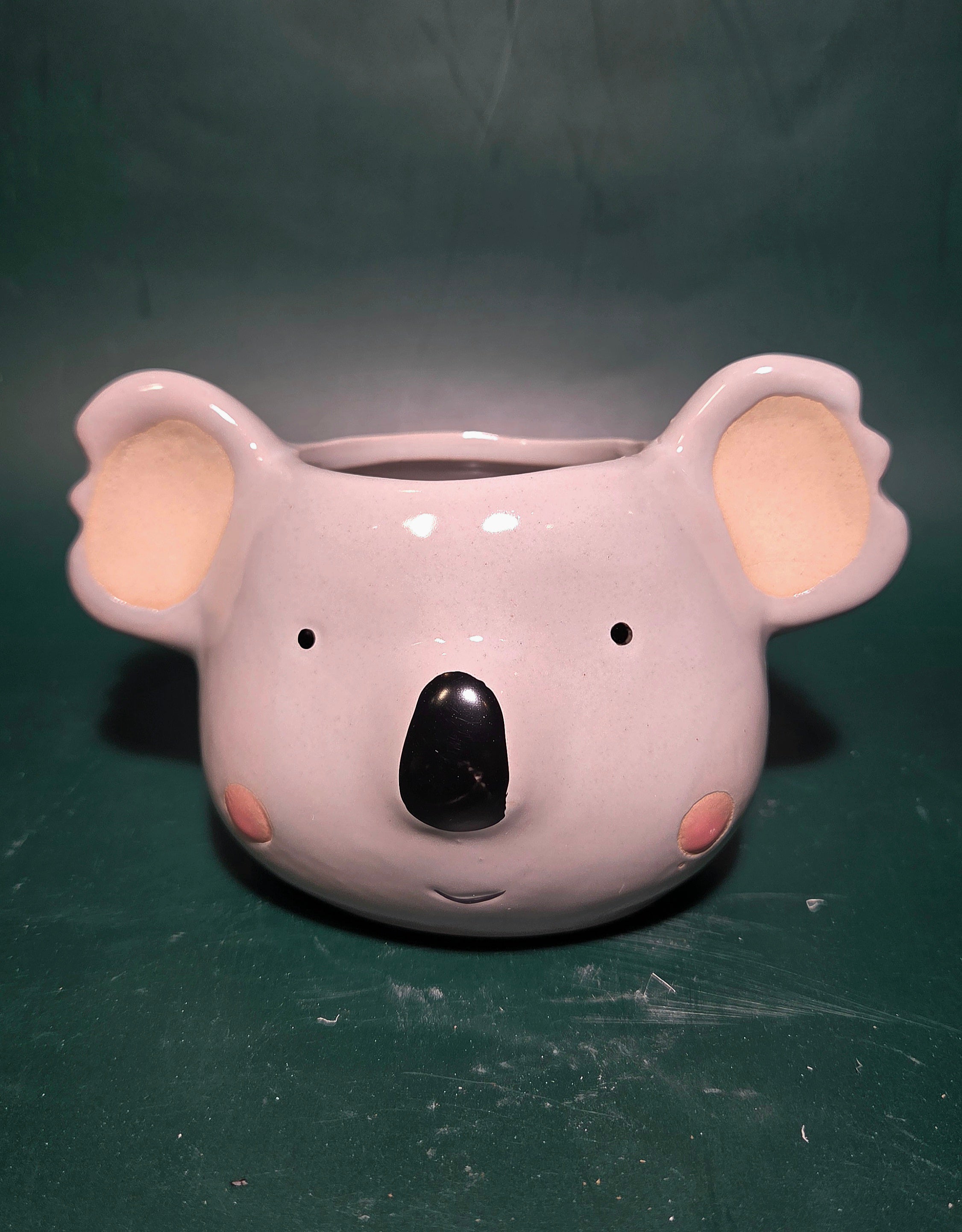 Koala planter