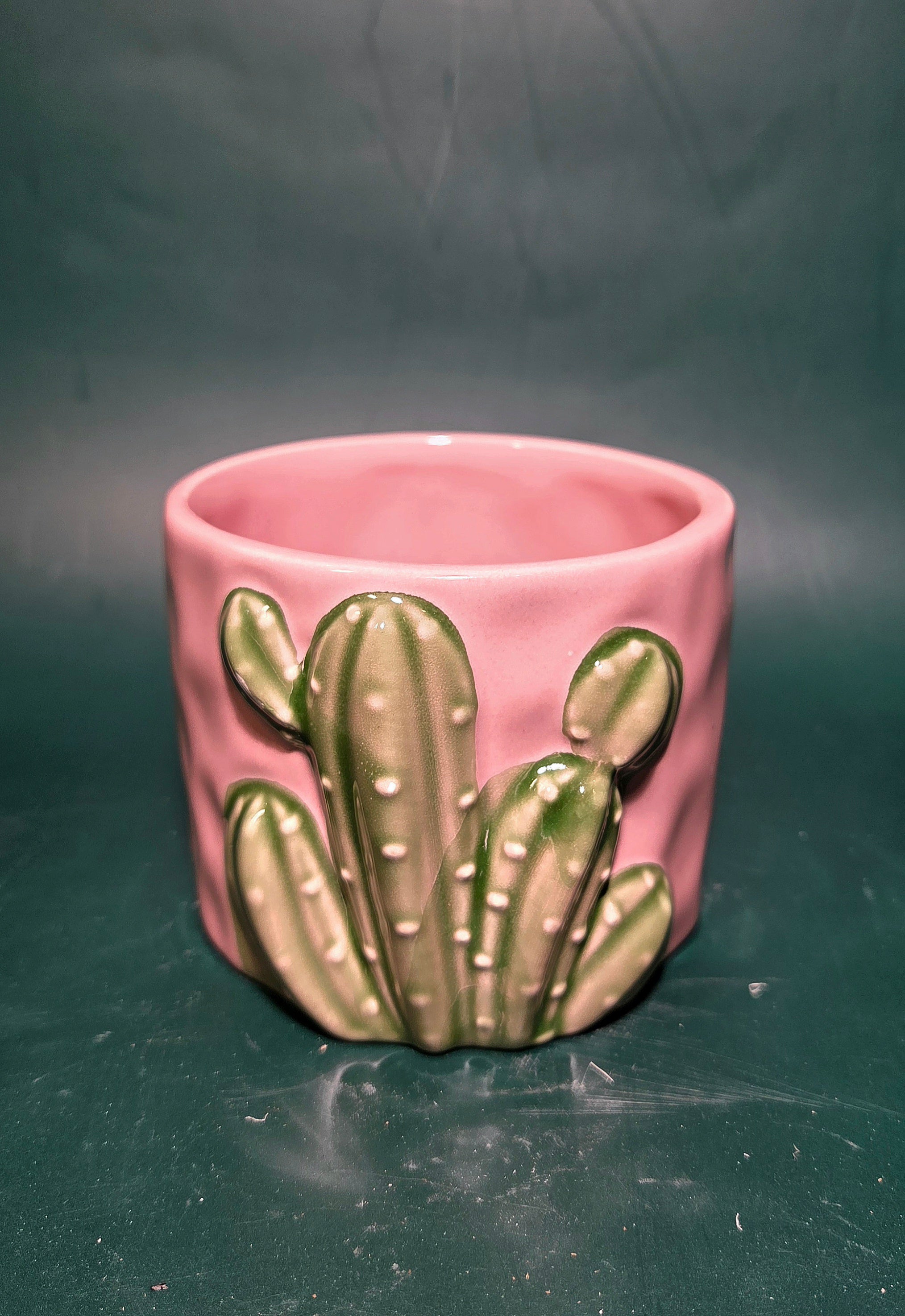 Cactus desert planter