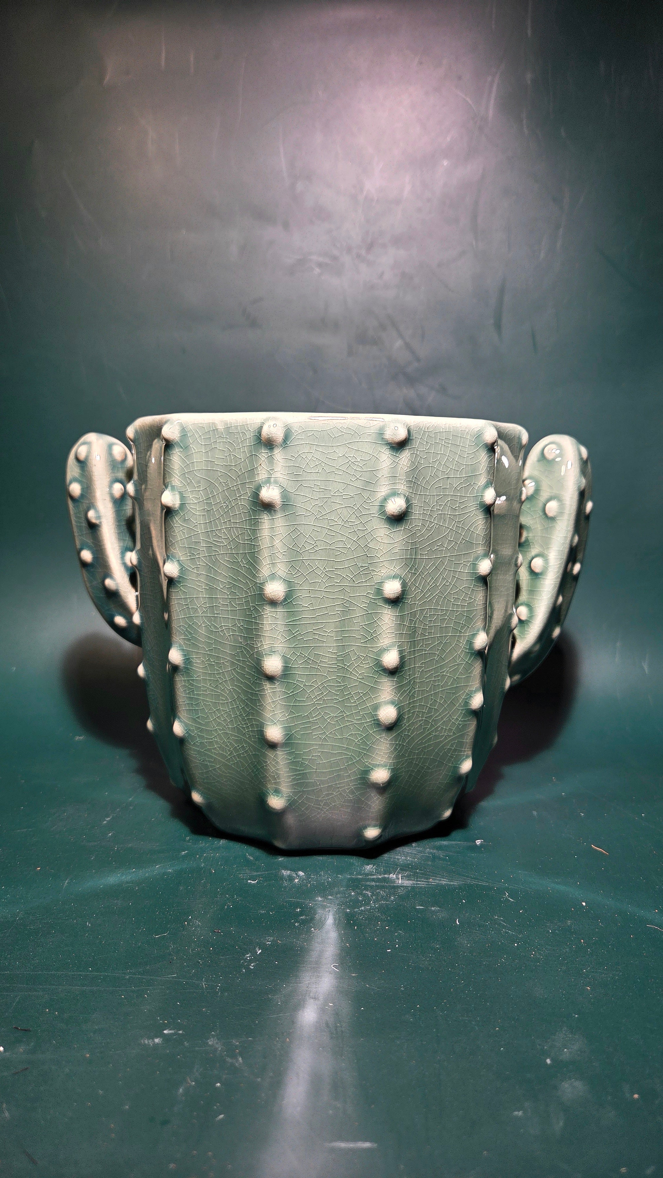 Cactus planter