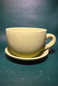 Teacup planter