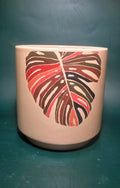 Foliage planter