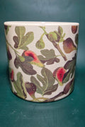 Fruit planter