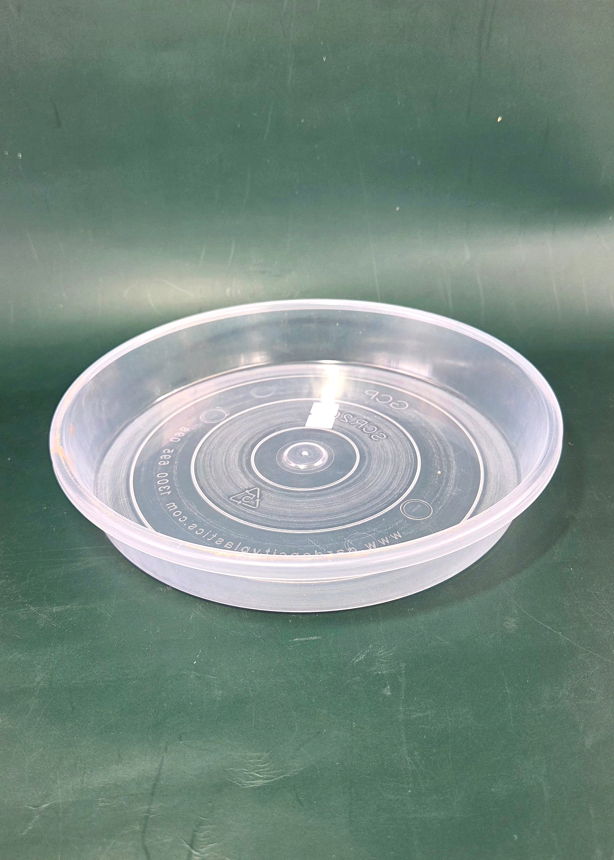 Saucer