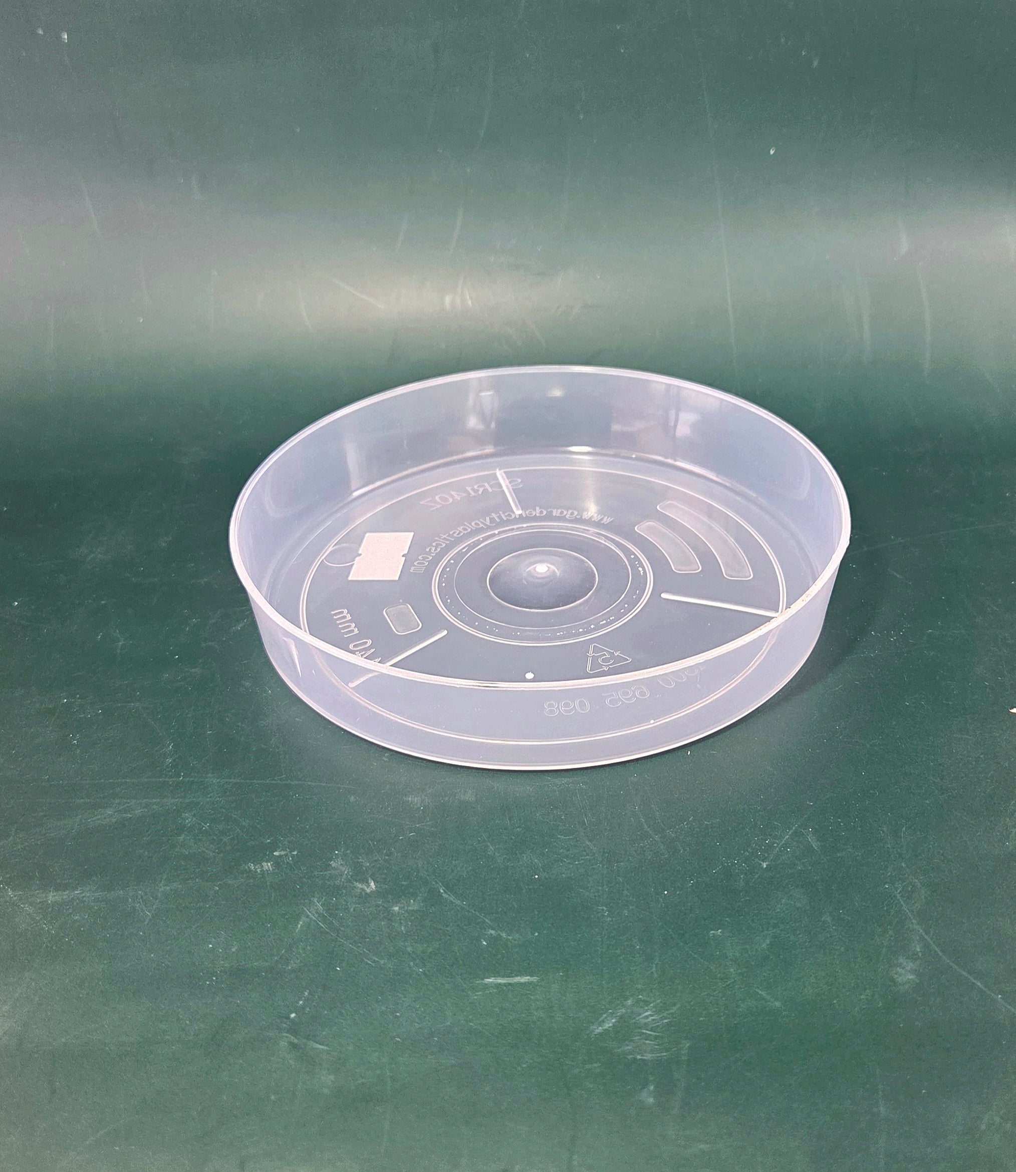Saucer