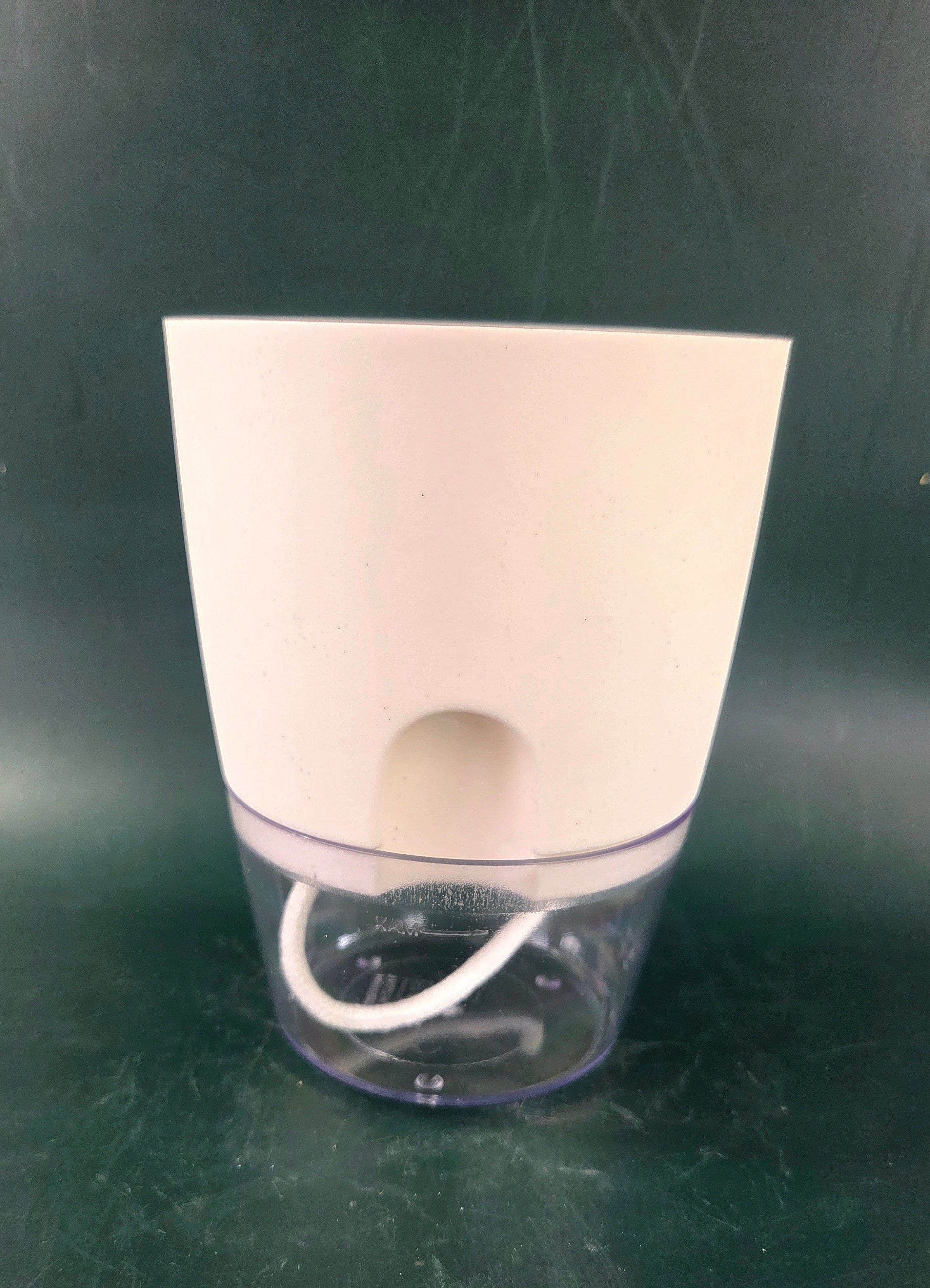 Self-watering pot
