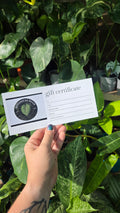 A gift voucher $20