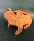 Husk Frog