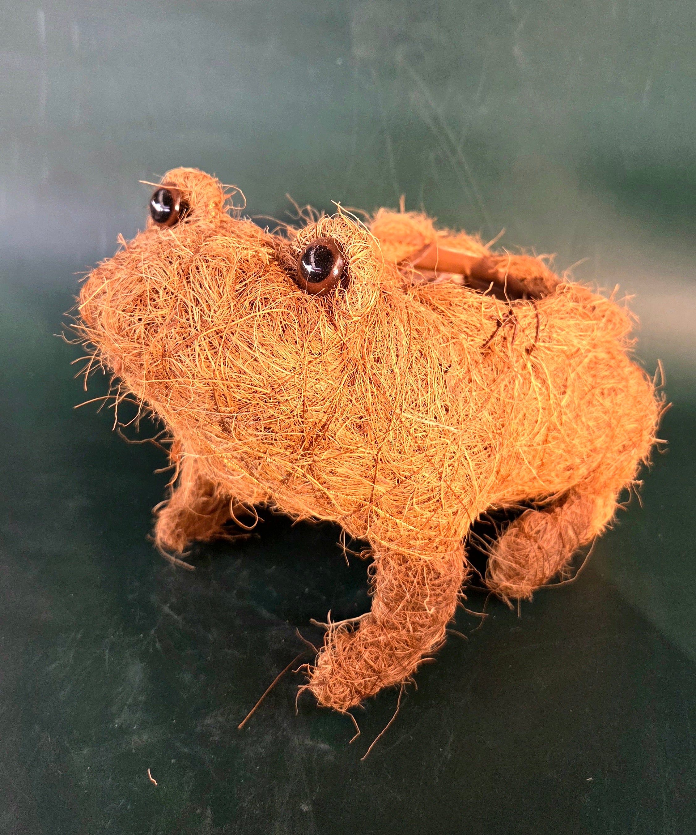 Husk Frog