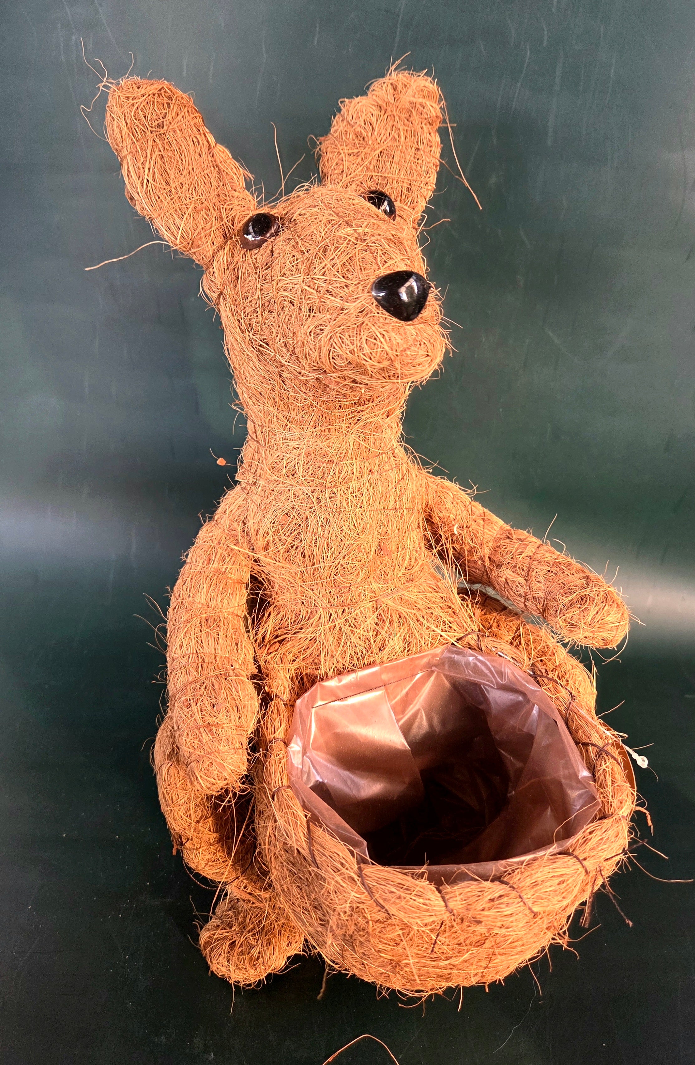 Husk Kangaroo