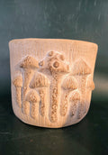 Toadstool planter