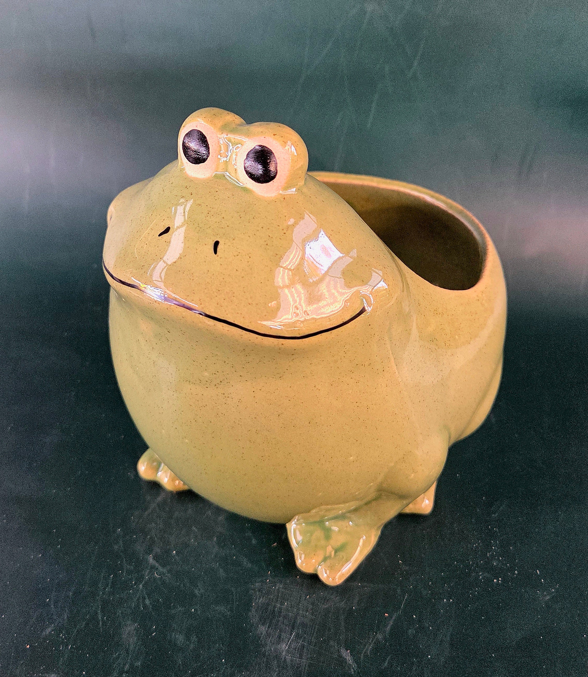 Mr. Froggie