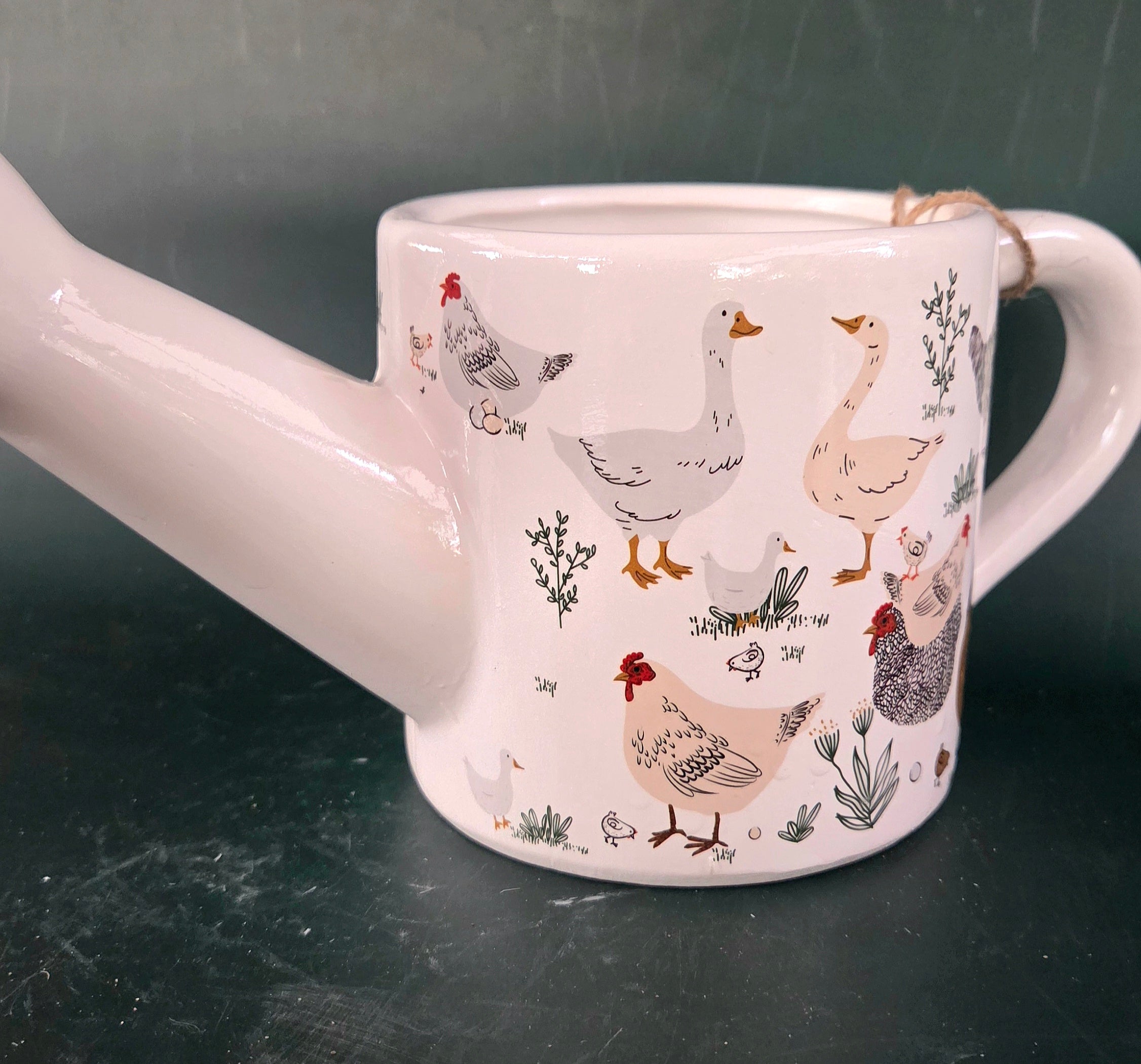 Watering can planter