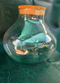 Terrarium
