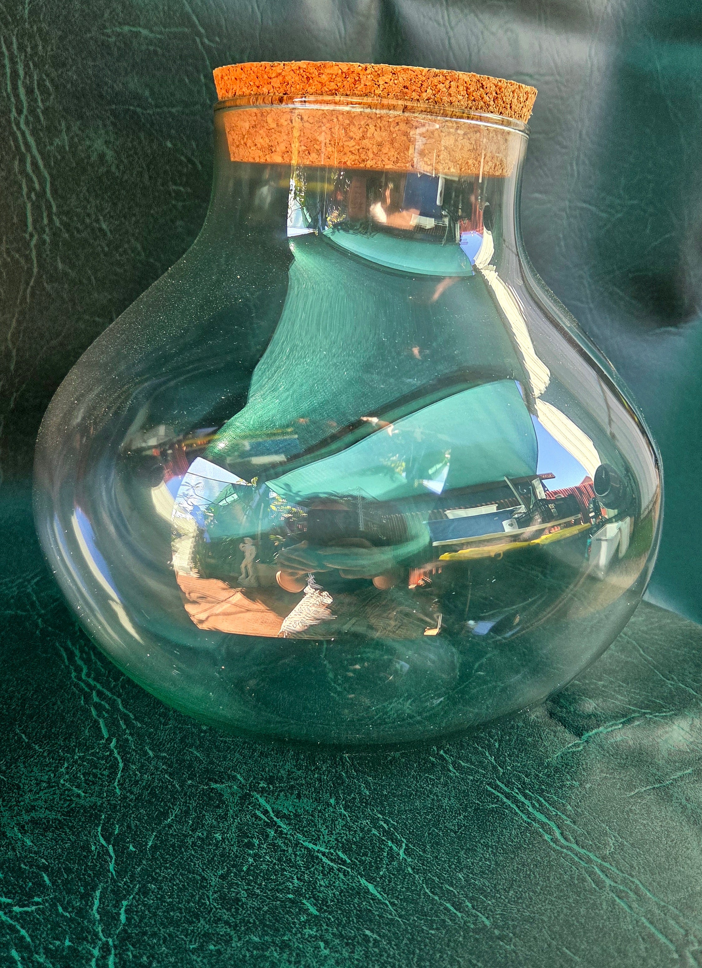 Terrarium
