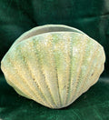 Shell planter stone sand