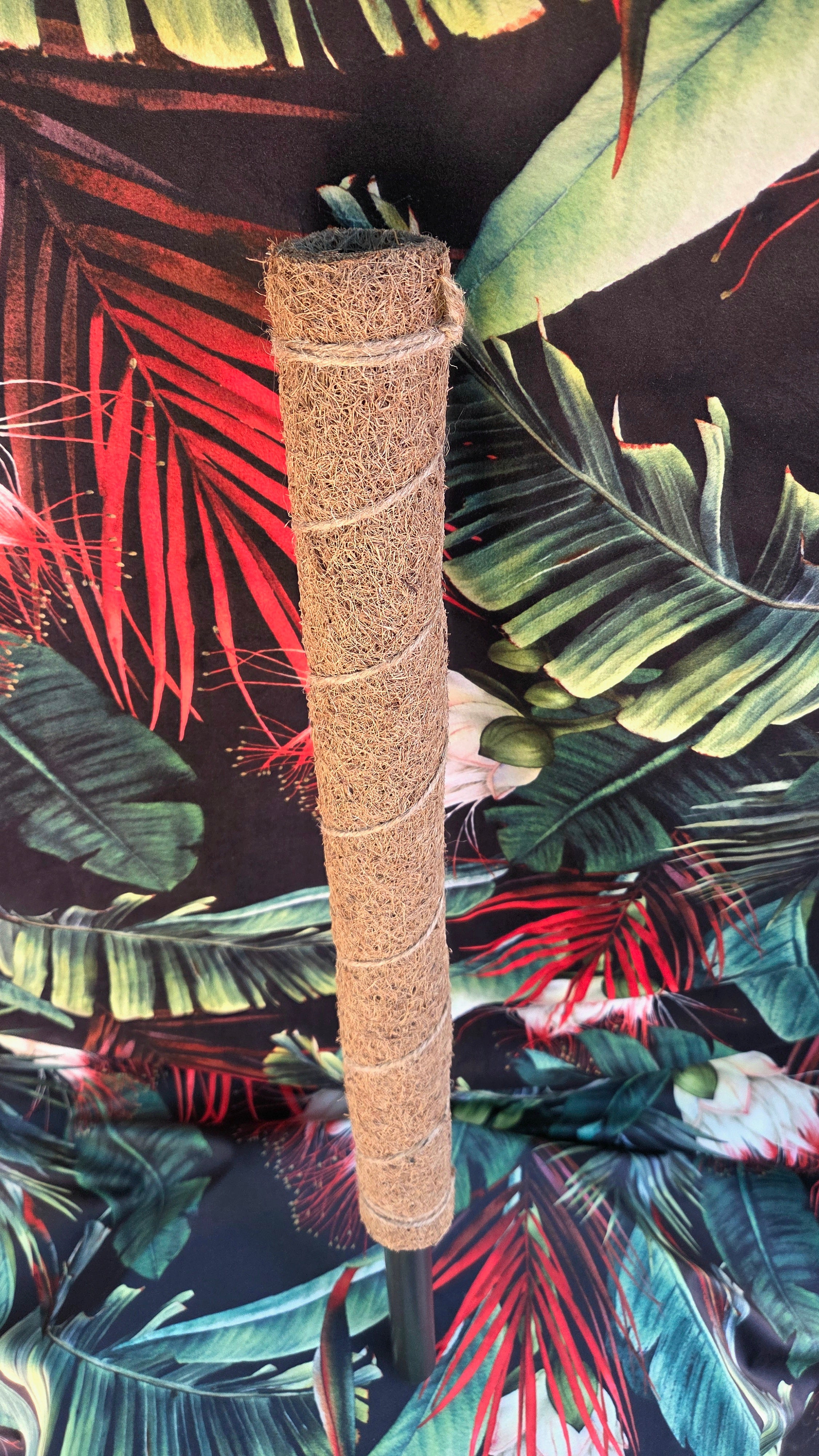 Coco pole 60cm