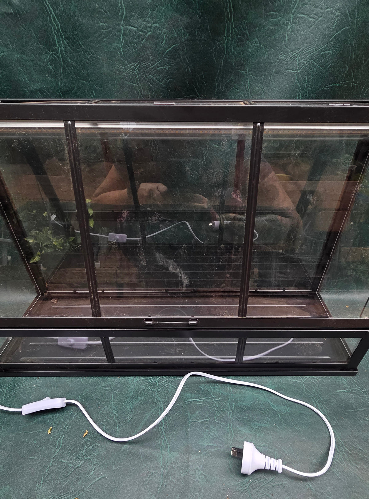 Grow Cabinet Ikea Greenhouse