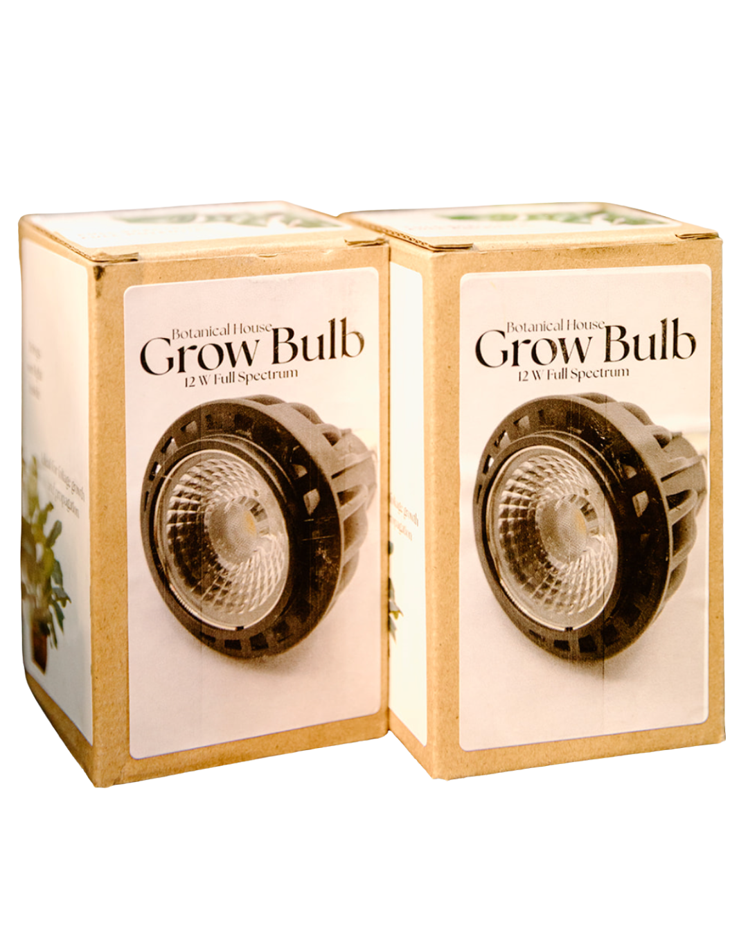 Botanical House Grow Bulb 12W