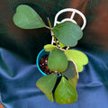 Hoya Kerrii