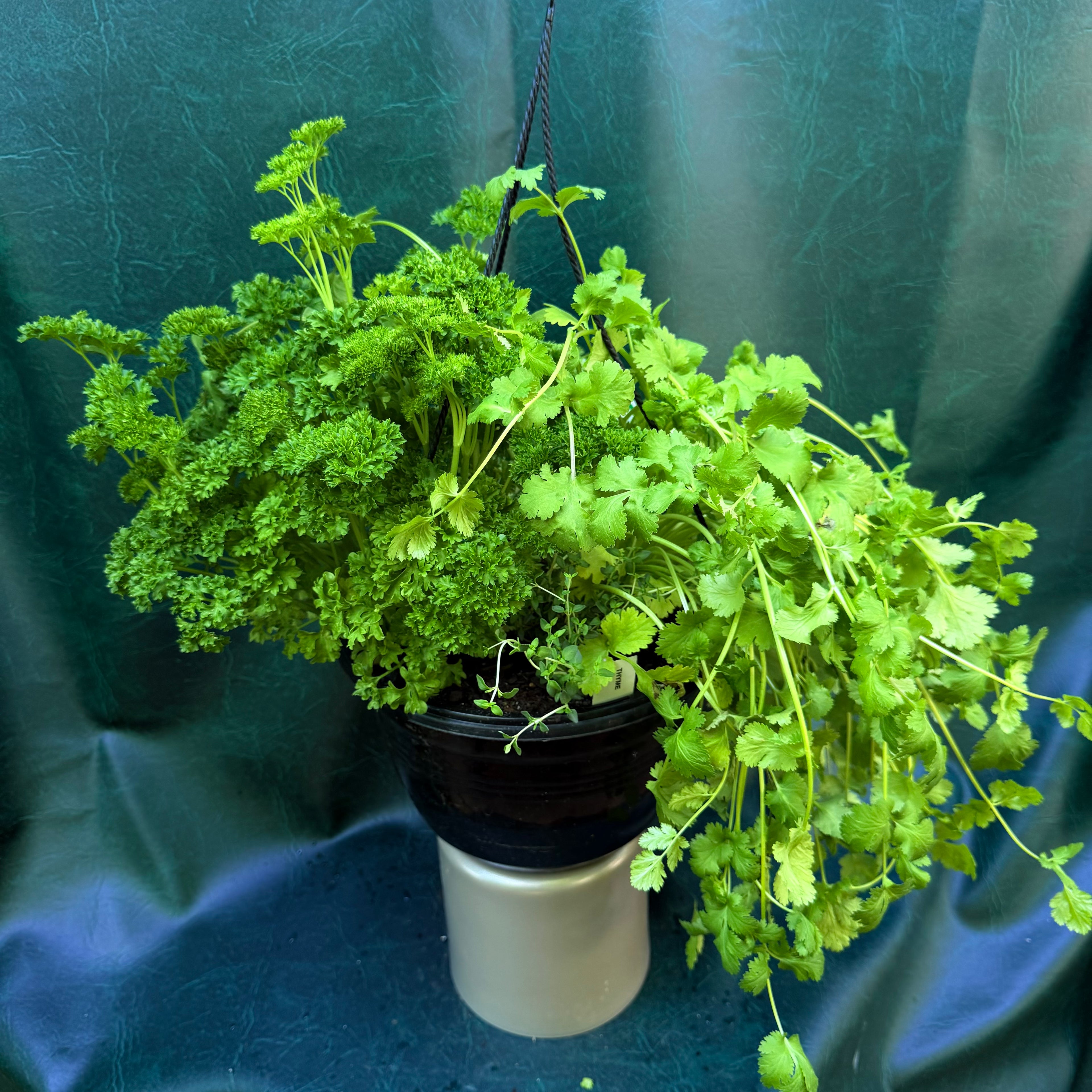Herb Basket